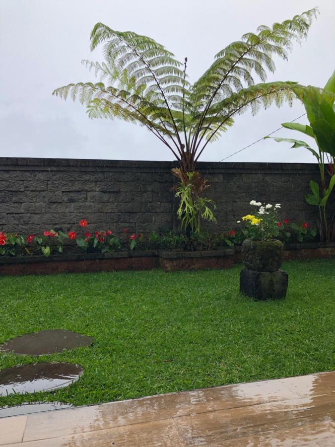Buyan Lodge Lake View Villa Бедугул Екстериор снимка